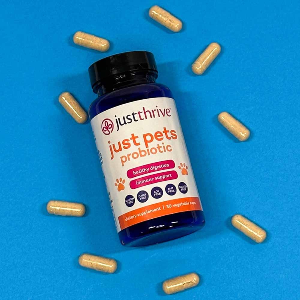 Top 3 Must-Have Products To Heal The Gut In Dogs
