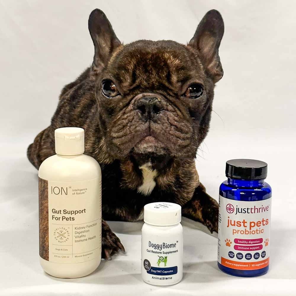 Top 3 Must-Have Products To Heal The Gut In Dogs